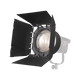 FL-20G Fresnel Lens