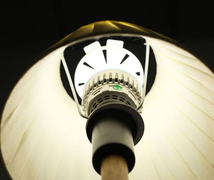 Bouncer with Suction Cup for Light Bulb